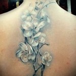 tetoválás fehér sakura - fotó példa 12122015 # 1