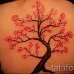sakura ág tetoválás - fotó példa 12122015 # 3