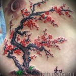 sakura fa tetoválás - fotó példa 12122015 5. szám
