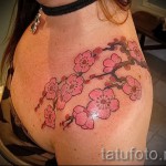 sakura tetoválás a lapockán - fotó példa 12122015 3. számból
