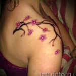 sakura tetoválás a lapockán - fotó példa 12122015 6. szám