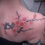 sakura tetoválás a lapockán - fotó példa 12122015 7. szám