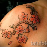 sakura tetoválás a lapockán - fotó példa 12122015 8. sz