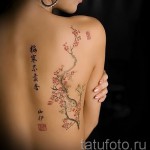 sakura tetoválás a hátán - fotó példa 12122015 # 1