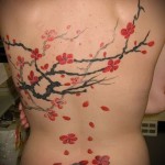 sakura tetoválás a hátán - fotó példa 12122015 2. szám