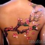 sakura tetoválás a hátlapon - fotó példa 12122015 № 7