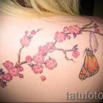 sakura tetoválás a hátán - fotó példa 12122015 № 8