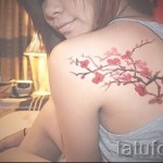 sakura tetoválás a hátoldalon - fotó példa 12122015 № 9