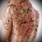 sakura tetoválás a hátán - fotó példa 12122015 10. sz