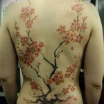 sakura tetoválás a hátoldalon - fotó példa 12122015 № 12