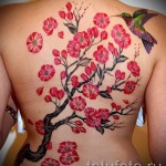 sakura tetoválás a hátán - fotó példa 12122015 № 15