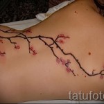 sakura tetoválás a hátlapon - fotó példa 12122015 № 16