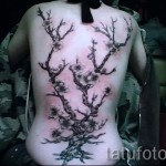 sakura tetoválás fekete -fehér - fotó példa 12122015 # 2