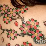 japán sakura tetoválás - fotó példa 12122015 # 1