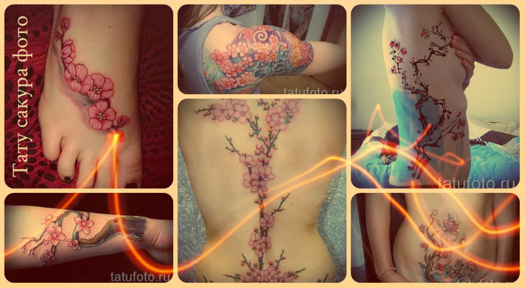 Sakura tetoválás fotó - kész tetoválási lehetőségek a fotón