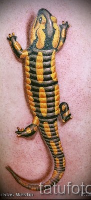 Szalamandra tetoválás sárga foltokkal