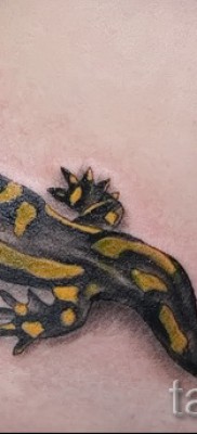 Szalamandra tetoválás a köldökön