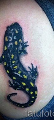 Szalamandra tetoválás