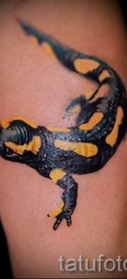 Salamander tetoválás fotó - reális munka