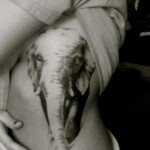 Голяма татуировка на слон отстрани