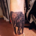 Татуировка на слон с бивни на прасеца за мъж