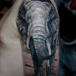 Татуировка на слон на рамо и ръка за момчета