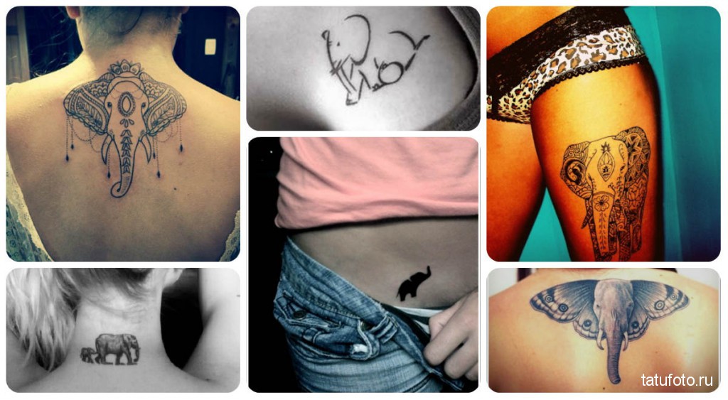 Снимки на татуировки на слонове - примери за най -добрите завършени творби от майстори на татуировки