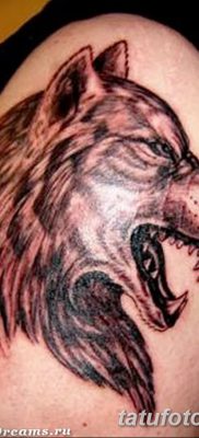 photo Tetoválás erősségi értékkel 2017.10.24 -től №230 - Tetoválás erősségi értékkel -