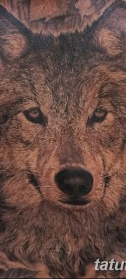 photo Tetoválás erősségi értékkel 2017.10.24 -től №233 - Tetoválás erősségi értékkel -