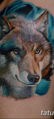 photo Tetoválás erősségi értékkel 2017.10.24 -től №238 - Tetoválás erősségi értékkel -