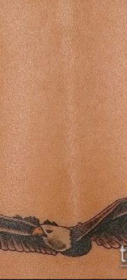 Fotótetoválás a szabadság jelentésével - 01062017 - példa - 068 Szabadság tetoválás