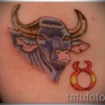 Fotó kész tetoválás állatöv jel Bika - bika és szimbólum