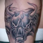 Fotó a kész tetoválásról a Bika állatövi jelről - egy bika feje és egy gyűrű az orrban