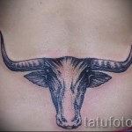 Fotó a kész tetoválásról a Bika állatövi jelről - a bika feje a hát alsó részén