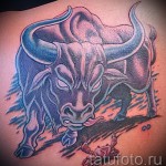 Fotó a Bika állatöv jel kész tetoválásáról 0 bikaharcok rákgal