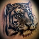 Tiger head tatovering - perfekt til tatovering