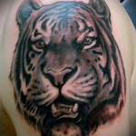 tigerhoved tatovering sejt job