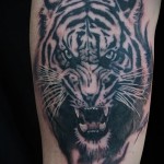 tiger tatovering på armen