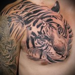 tiger tatovering på brystbenet til mænd - liggende på poten