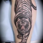 tiger tatovering på fyrens ben