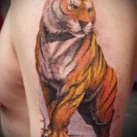 tiger tatovering på armen - fuld længde
