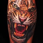 tiger tatovering på armen - grin og vilde øjne