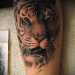 tiger tatovering på armen - realistisk arbejde