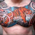 tiger tatovering på brystet - godt og smukt stykke arbejde