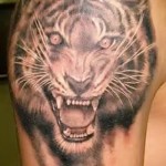 tiger tatovering på skulderen - vildt grin
