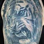 tiger tatovering på skulderen med lange hugtænder