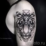 Tigar dans un tatouage trokut - Photo exemplaire d'un tatouage frais sur 14072016 2