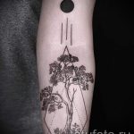 arbre de tatouage dans le trougao - Fotografija primjer d'un tatouage frais sur 14072016 1