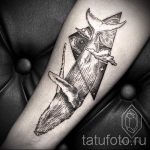 baleines dans le tatouage trokut - primjer fotografije d'un tatouage frais sur 14072016 1
