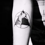 baleines dans le tatouage trokut - primjer fotografije d'un tatouage frais sur 14072016 2
